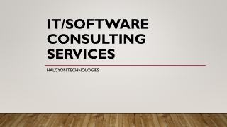 IT Software Consulting Services