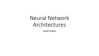 Neural Network Architectures