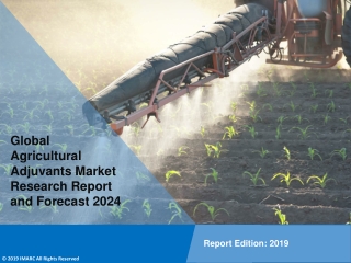 Agricultural Adjuvant Market Overview, Trends, Segmentation, Application and Forecast to 2024