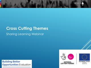 Cross Cutting Themes Sharing Learning Webinar