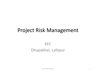 Project Risk Management