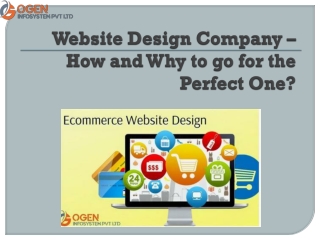Website Design Company How and Why to go for the Perfect One?