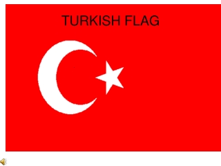 TURKISH FLAG