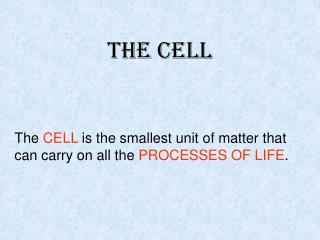 The Cell