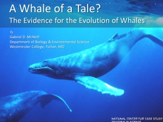 A Whale of a Tale? The Evidence for the Evolution of W hales