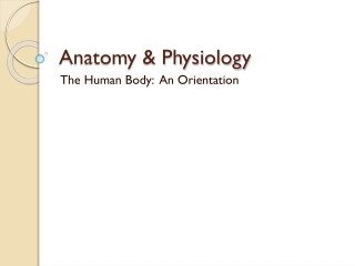 Anatomy &amp; Physiology