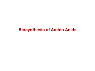 Biosynthesis of Amino Acids