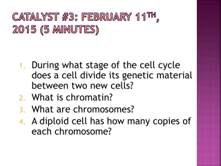 Catalyst #3: February 11 th , 2015 (5 minutes)