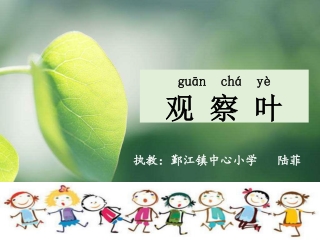 guān chá yè 观 察 叶