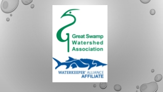 GSWA’s Watershed Friendly Living Program can offer more information