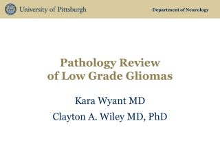 Pathology Review of Low Grade Gliomas