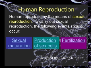 Human Reproduction