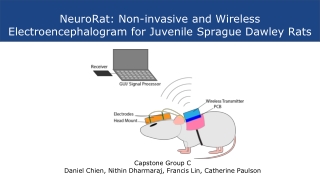 NeuroRat: Non-invasive and Wireless Electroencephalogram for Juvenile Sprague Dawley Rats