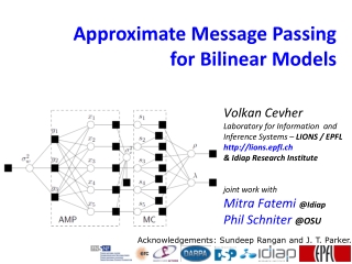 Approximate Message Passing for Bilinear Models