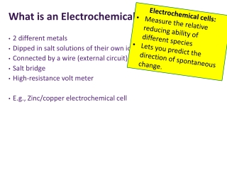 What is an Electrochemical Cell?