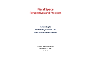 Fiscal Space Perspectives and Practices