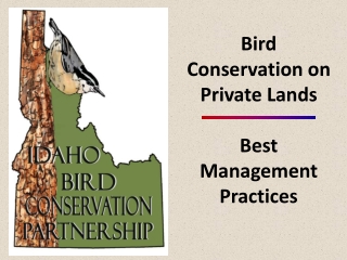 Bird Conservation on Private Lands Best Management Practices