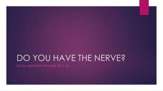 DO YOU HAVE THE NERVE?