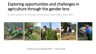 Exploring opportunities and challenges in agriculture through the gender lens