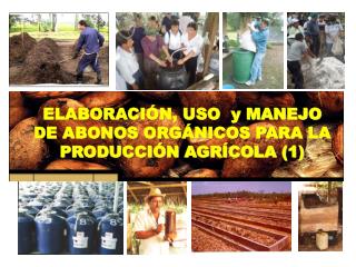ELABORACIÓN, USO y MANEJO DE ABONOS ORGÁNICOS PARA LA PRODUCCIÓN AGRÍCOLA (1)