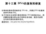 DNA DNA,DNA DNARNA,, :one gene-one enzyme hypothesis.