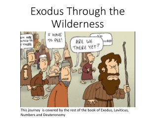 Exodus Through the Wilderness