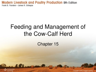 Feeding and Management of the Cow-Calf Herd