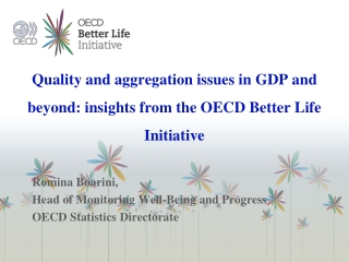 Quality and aggregation issues in GDP and beyond: insights from the OECD Better Life Initiative