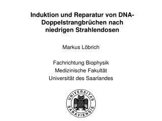 Induktion und Reparatur von DNA-Doppelstrangbrüchen nach niedrigen Strahlendosen