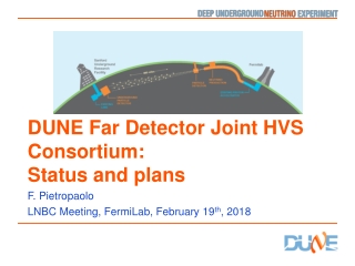 DUNE Far Detector Joint HVS Consortium: Status and plans