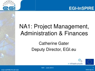 NA1: Project Management, Administration &amp; Finances