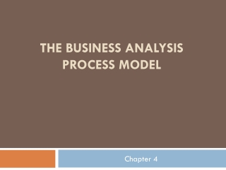 THE BUSINESS ANALYSIS PROCESS MODEL