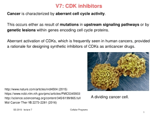 V7: CDK inhibitors