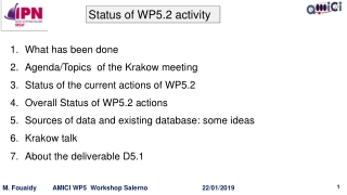What has been done Agenda/Topics of the Krakow meeting Status of the current actions of WP5.2
