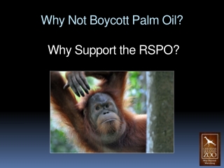 Why Not Boycott Palm Oil? Why Support the RSPO?