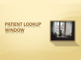 Patient Lookup Window