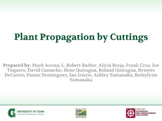 Plant Propagation by Cuttings