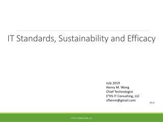 IT Standards, Sustainability and Efficacy