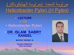 Helicobacter Pylori H.Pylori