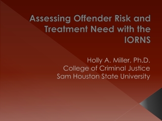 Assessing Offender Risk and Treatment Need with the IORNS