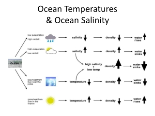 salinity ocean temperatures presentation