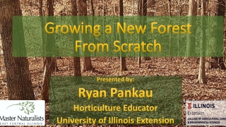 Growing a New Forest From Scratch