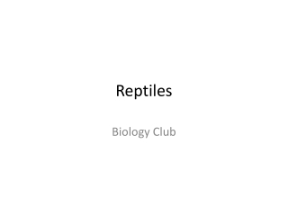 Reptiles