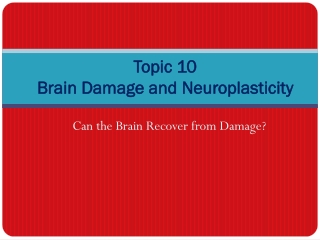 Topic 10 Brain Damage and Neuroplasticity