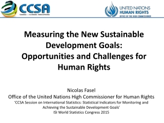 Measuring the New Sustainable Development Goals: Opportunities and Challenges for Human Rights