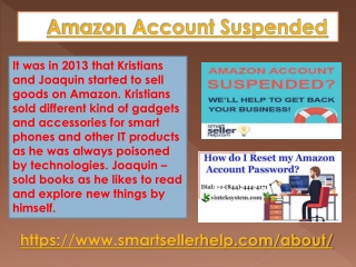 Best Amazon Account Suspended Service in Europe-Smart Seller Help