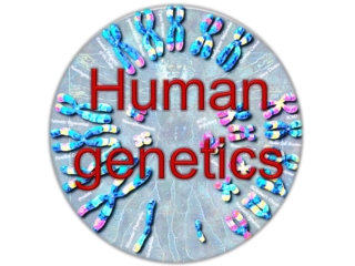 Human genetics