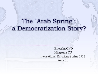 The `Arab Spring`: a Democratization Story?