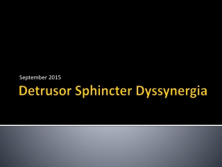 Detrusor Sphincter Dyssynergia