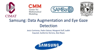 Samsung: Data Augmentation and Eye Gaze Detection